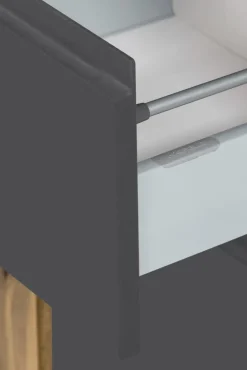 Bad-Hochschrank GENT grau/braun