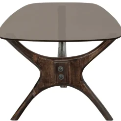 Beistelltisch FLASH 110 x 60 cm Mangoholz/Farbglas braun