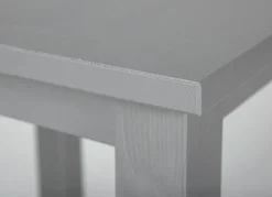 Beistelltisch LENNART 45x55x45 cm Massivholz grau