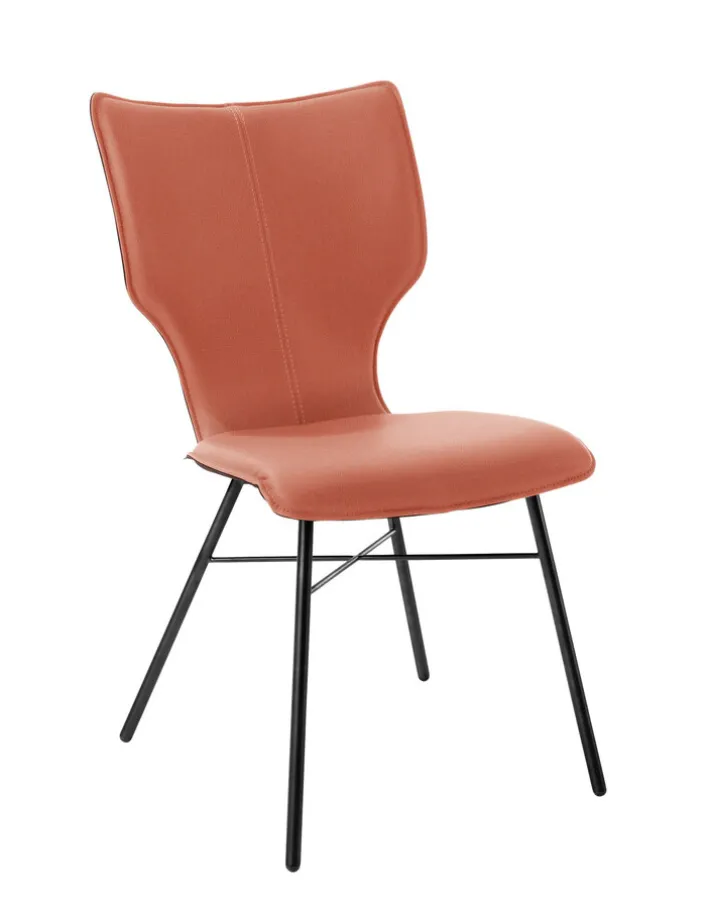 bert plantagie Esszimmerstuhl JONI FOUR 2er Set bold cuero