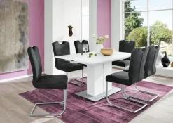 CASAVANTI Esszimmerstuhl FRANCESCO 2er Set Edelstahl /grau