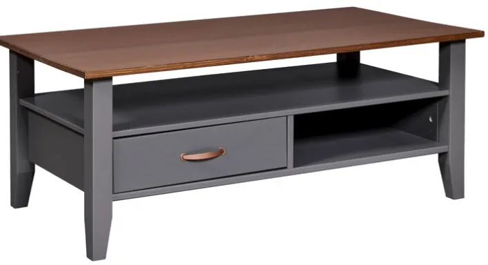 Couchtisch NICLAS 115x45x60 cm Massivholz grau/braun