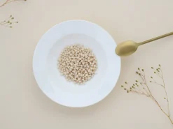 CreaTable Suppenteller FLEUR ROYAL 6er Set creme weiß