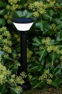ECO-LIGHT LED Solar Wegeleuchte KARLO 45 cm schwarz