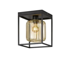 FISCHER & HONSEL Retrofit Deckenlampe CAYDO schwarz /goldfarbig