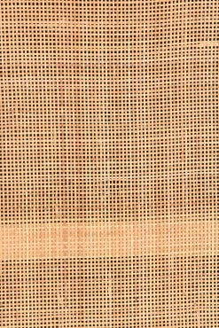 Garderobenschrank 80 x 180 cm Mango lackiert mit Rattan-Front