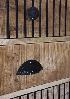 INTERhome Kommode GENESIS 50 x 100 cm Mango massiv natur/schwarz