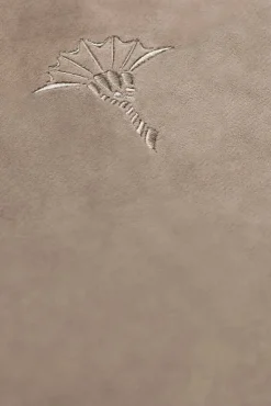 JOOP! Kissenhülle COZY 40 x 40 cm sand