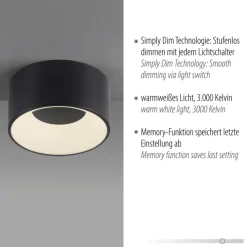JUST LIGHT LED Deckenlampe TANIKA 16 cm schwarz