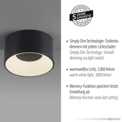 JUST LIGHT LED Deckenlampe TANIKA 16 cm schwarz