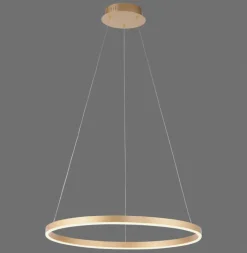 JUST LIGHT LED Pendelleuchte RITUS 58 cm messingfarbig