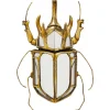 KARE DESIGN Wandschmuck BEETLE 36,5 x 27,5 cm goldfarbig