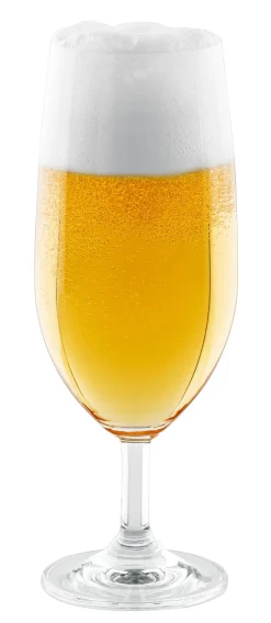 LEONARDO Bierglas DAILY