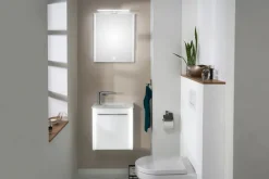 LEONARDO Flächenspiegel 50 x 60 cm