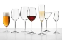 LEONARDO Grappaglas DAILY