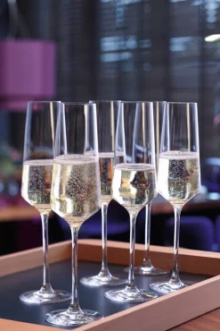 LEONARDO Sektglas PUCCINI 280 ml