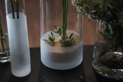 LEONARDO Vase NOVARA klar/satiniert