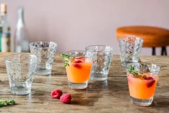 LEONARDO Whiskyglas OPTIC 6er Set transparent