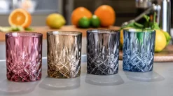 Nachtmann Whiskyglas NOBLESSE 2 Set grau