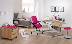 PAIDI Schreibtisch GT DIEGO Eiche Nebraska