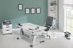 PAIDI Schreibtisch JARO Kreideweiß