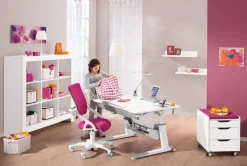 PAIDI Schreibtisch JARO Kreideweiß