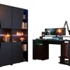 Parisot Gamertisch und Regale mit LED Beleuchtung schwarz