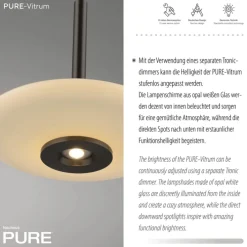 Paul Neuhaus LED Balkenpendel PURE VITRUM 3-flg braun