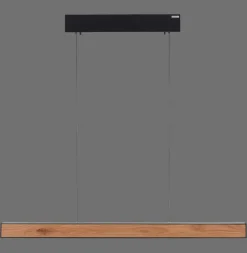 Paul Neuhaus LED Balkenpendel PURE E-MOTION 2-flg schwarz