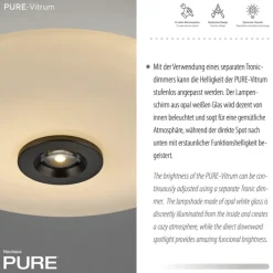 Paul Neuhaus LED Deckenlampe PURE VITRUM 45 cm braun