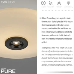 Paul Neuhaus LED Deckenlampe PURE VITRUM 45 cm braun