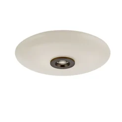 Paul Neuhaus LED Deckenlampe PURE VITRUM 45 cm braun