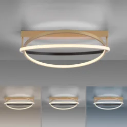 Paul Neuhaus LED Deckenlampe Q-BELUGA rund Messing/ Schwarz matt