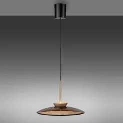Paul Neuhaus LED Pendelleuchte PURE E-MOON 1-flg bronze