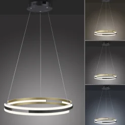 Paul Neuhaus LED Pendelleuchte Q-BELUGA Messing/ Schwarz matt