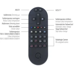 Paul Neuhaus LED Pendelleuchte Q-BELUGA Messing/ Schwarz matt