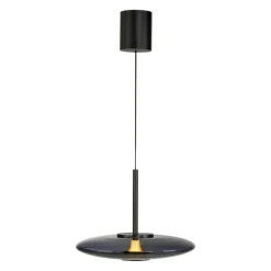 Paul Neuhaus LED Pendelleuchte PURE E-VITRUM 45 cm grau