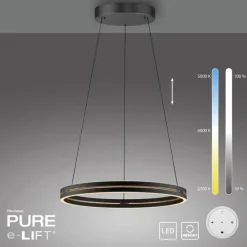 Paul Neuhaus LED Pendelleuchte PURE E-LOOP 70 cm schwarz