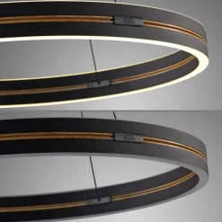 Paul Neuhaus LED Pendelleuchte PURE E-LOOP 70 cm schwarz