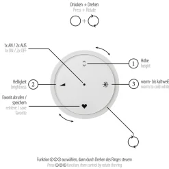 Paul Neuhaus LED Pendelleuchte PURE E-LOOP 70 cm schwarz