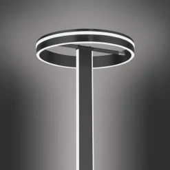 Paul Neuhaus LED Stehlampe Q-VITO anthrazit