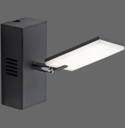 Paul Neuhaus LED Wandleuchte mit Spot PURE-MIRA schwarz