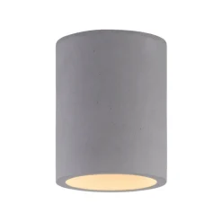 Paul Neuhaus Retrofit Deckenlampe ETON 11 cm beton