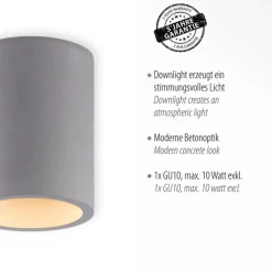 Paul Neuhaus Retrofit Deckenlampe ETON 11 cm beton