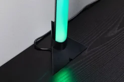 Paulmann Standfuß Entertain DYNAMIC RGB 2er Set