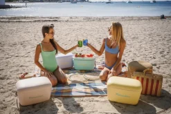 Polarbox Kühlbox 20 Liter Kunststoff dunkelgrün/goldfarbig