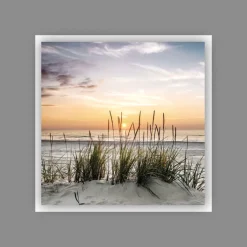 PRO ART Alu-Art Bild BEACH IV 50 x 50 cm Aluminium mehrfarbig
