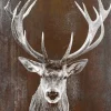 PRO ART Alu-Art Bild BROWN DEER II 70 x 98 cm mehrfarbig