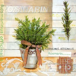 PRO ART Basic cellophaniert Bild SWEET HERBS I ROSMARIN 25 x 25 cm mehrfarbig