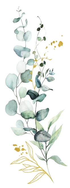 PRO ART Bild EUCALYPTUSARRANGEMENT 80 x 30 cm